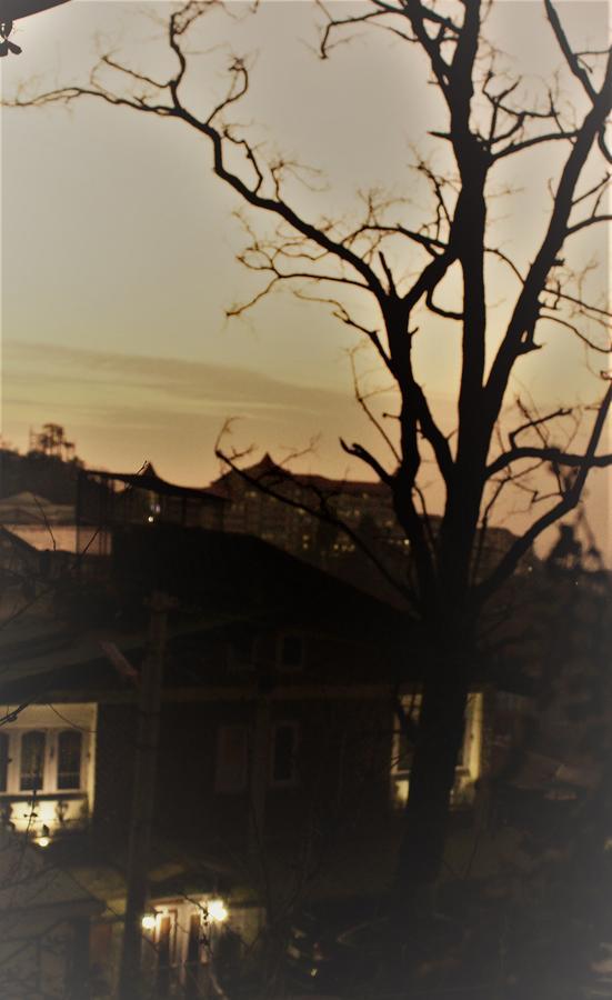 Prakash Cottage Shimla Exterior photo